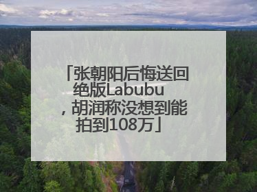 张朝阳后悔送回绝版Labubu，胡润称没想到能拍到108万